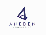 Aneden Consulting Logo